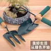Kit de ferramentas de jardinagem três peças grande plantio família flores e suculentas morangos em vaso jardim doméstico pá ancinho