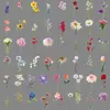 50 Pegatinas Florales Transparentes Realistas, Coloridas Frescas Impermeables Decoración DIY para Botellas de Agua y Diarios
