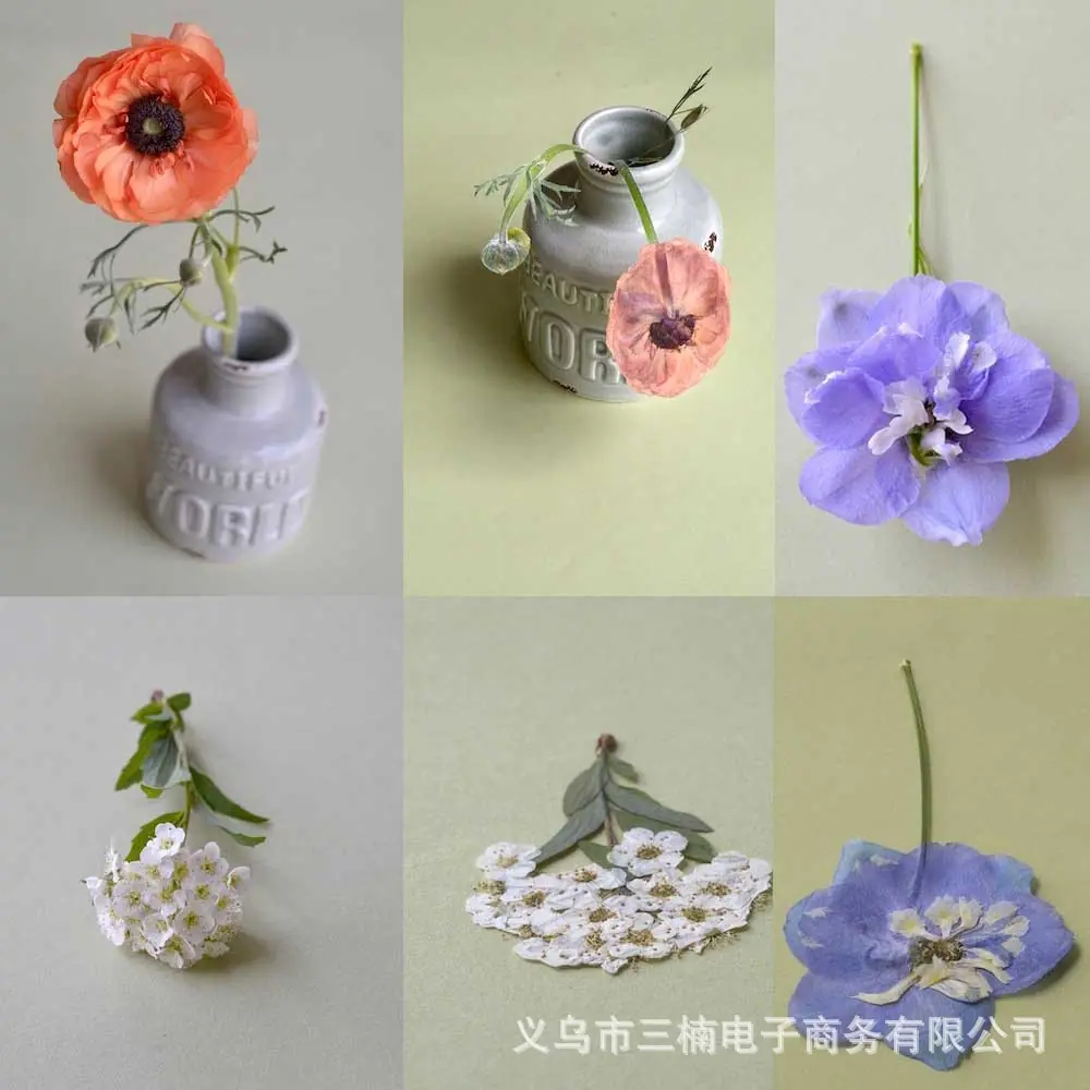 未标题-2.jpg