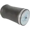Adecuado para BMW X5 E53 bolsa de aire trasera resorte de aire bolsa de aire resorte de suspensión de aire 37126750355 56