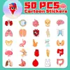 50 Lindas Pegatinas de Órganos Humanos Anatomía Dibujos Animados Transfronterizos Órganos Humanos Niños Educación Temprana Ideas de Pegatinas