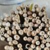Exportar para a Europa Amazon Suporte Hortícola Vara de Bambu Vara de Bambu Bambu Trepador Bambu Fêmea Flor de Bambu Suporte de Bambu Bambu Branco Bambu