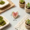 Hojas de Árbol de Simulación Decoración Miniatura Hojas de Resina Parches de Hojas Accesorios Pegamento en Crema Material para Pasador de Pelo DIY Funda de Teléfono