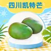 Manga Kate de Sichuan, envio direto 4,5/ 4,25kg Manga de casca verde, tamanho grande, polpa espessa, fruta fresca