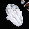 Sunny Moe Língua Dupla Camada Shower Cap impermeável Hair Cap Cartoon Impresso Mesh Margarida PVC Shower Cap para mulheres banho
