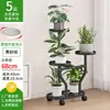 Soporte para Flores para Sala de Estar, Estante de Hierro de Múltiples Niveles para Macetas de Piso, Modelo Nuevo para Interiores, Soporte para Exhibición de Plantas Verdes en Balcón