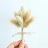Mini Buquê de 12cm Flores Naturais Flores Secas Flores Eternas Gipsofila Rosas Caixa de Presente Festiva Decorações Amazon Cross-Border