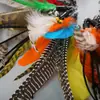 Suministros para Mascotas Juguetes para Gatos Pluma de Colores Cabezal de Repuesto Combinación Palo para Molestar Gatos Caña de Pescar Interactiva Fábrica Transfronteriza