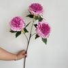 Em estoque simulação flor 3 cabeça peônia dourada flor casamento auditório teto estrada alta guia flor arte decoração suave flor
