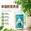 Fertilizante especial com solução nutritiva para a Árvore da Sorte, usado para tratamento de emergência de folhas amareladas, queda de folhas, doença de manchas pretas, prevenindo a queda de folhas e promovendo o crescimento saudável em plantas de vaso