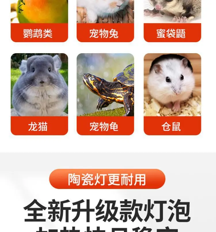 描述图5
