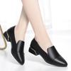 Zapatos de una sola capa con tacón grueso para mujer primavera y otoño 2024 nuevos zapatos de doble uso para mujer zapatos de cuero para mujeres de mediana edad zapatos de madre zapatos de trabajo negros