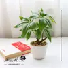 Fábrica de flores artificiais fornecimento direto flor artificial árvore rica bonsai decoração de interior criativa planta verde artificial planta em vaso de simulação geração de cabelo