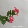 Flor artificial individual pequeña de jazmín flor falsa mesa de sala mesa de centro arreglo floral campestre fábrica venta al por mayor