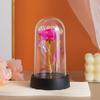 Luz Nocturna de Flor Eterna Rosa Dorada Color Oro con Lámina de Oro Navidad Maestro Día de San Valentín Chino Día de San Valentín Romántico Día de la Madre Regalo Adornos