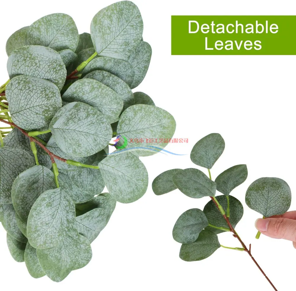主图_Eucalyptus_Leaf_003.jpg