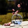 El aliento de la primavera jarrón hidropónico de vidrio transparente redondo utensilios para arreglos florales decoración de plantas de oficina fabricantes