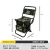 Banqueta Cadeira Dobrável Portátil para Camping Pesca com Encosto e Bolsa Térmica Isolada Resistente Durável