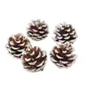 Flores de Piña Secas Piñas Blancas Teñidas Adornos de Piña Blanca Cubiertos en Nieve Piñas Naturales Colgantes de Decoración Navideña Accesorios para Fotografía Mayoreo