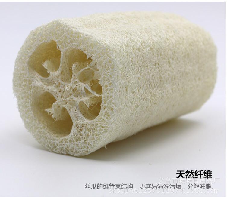 丝瓜详情5
