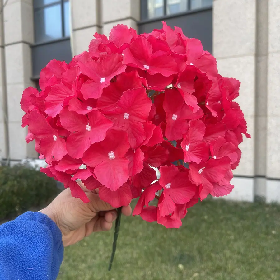 5头把束无纺布绣球-玫红.JPG