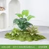 Plantas Verdes Artificiais Atacado Paisagismo Interno Plantas Falsas de Alto Padrão Decoração de Paisagem Aglomerados de Musgo Flores Biônicas Decoração Suave Luz