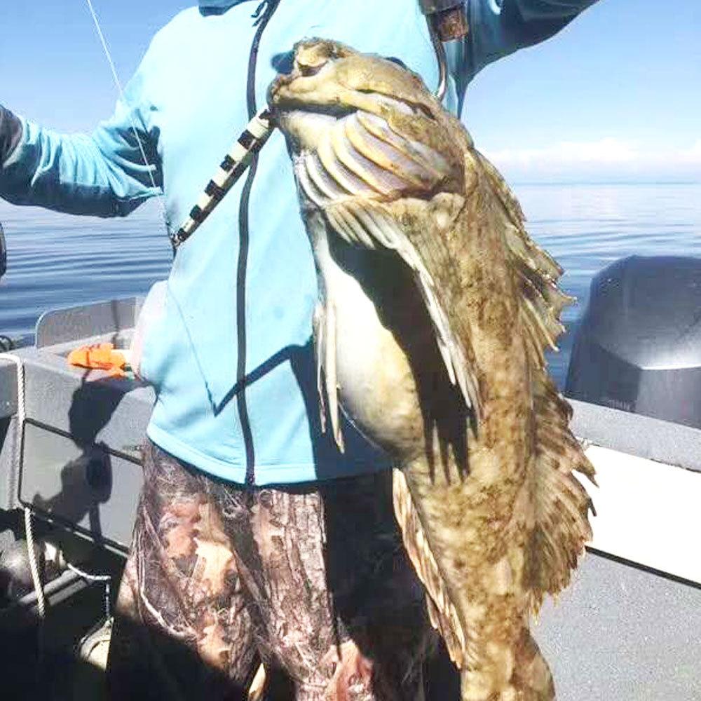 fast-jigs8.jpg