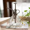 Regadera Pequeña de Vidrio Vintage Aspersor de Limpieza y Desinfección Barométrica Maceta de Riego para Jardinería Doméstica Botella Pulverizadora para Suculentas