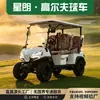 Carro de golf eléctrico para atracciones turísticas, propiedades inmobiliarias, recepción de hotel y servicios de transporte