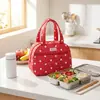 Bolsa de Almuerzo Aislada Engrosada Personalizada, Bolsa de Almuerzo Portátil de Gran Capacidad, Exclusiva Transfronteriza, Bolsa de Almuerzo Portátil para Viajes, Venta al por Mayor