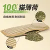 Fábrica de brinquedos para gatos, travesseiro de catnip, tapete arranhador de sisal para autoentretenimento e alívio do tédio, varinha com pena para gatos, atacado em estoque