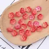 Flor de flor de pêssego de cinco pétalas com cor gradiente de vidro de 13mm com furos, flor pequena tridimensional gradiente acessório para DIY de grampo de cabelo e brinco