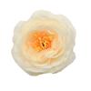 Simulación transfronteriza Camelia grande DIY decoración de boda pared de flores camino de mesa floral rosa artificial flor cabeza de flor