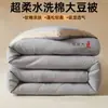 2026 Nueva Colcha de Fibra de Soja Colcha de Invierno para una Persona Colcha de Primavera y Otoño Colcha para Dormitorio de Estudiantes Núcleo de Colcha Estilo Cuatro Estaciones de Algodón Espesado