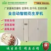Máquina de Broto de Amendoim máquina automática de broto de amendoim máquina de cultivo hidropônico de broto de amendoim atacado spot fornecimento de fábrica
