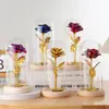 Flor Preservada Cobertura de Vidro Rosa com Folha de Ouro Presente de Natal Dia dos Namorados para Namorada Ornamento de Presente Criativo Transfronteiriço