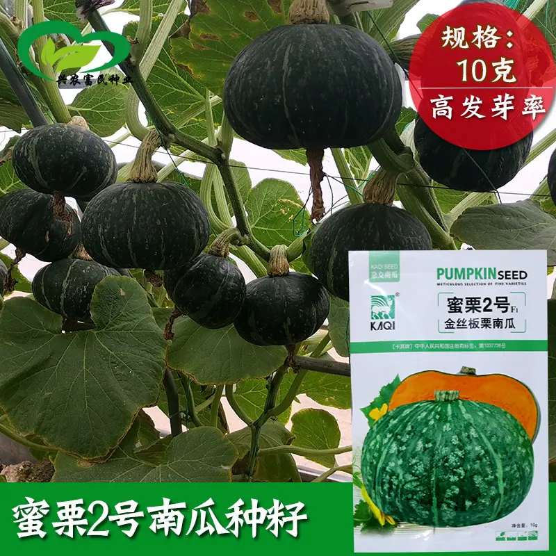 主图1-副本