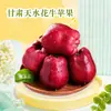 Manzanas Huaniu de Tianshui, Gansu al por mayor Dropshipping Caja Completa de Manzanas Rojas Frutas Frescas