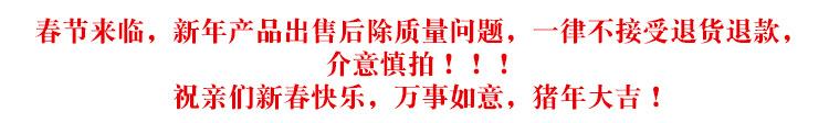 新年产品