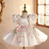 Vestido para Niña 2026 Nuevo Modelo Vestido Abullonado para Niña Pequeña Cumpleaños de Niños Navidad Vestido de Princesa para Niñas Dropshipping Transfronterizo