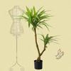 2.1 m Planta Verde Artificial Nórdica Simulada en Maceta Planta Falsa Árbol Sangre de Dragón de Hierro de Brasil Decoración Suave para el Hogar Ventana Piso