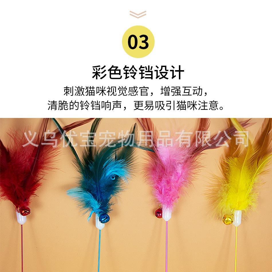 彩竿单羽详情_08