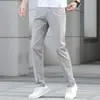 Pantalones de hombre de verano Hong Kong, finos, pierna recta, corte slim, de alta gama, modernos, versátiles, elásticos, business casual
