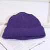 2020 Nuevo Celebridad de Internet Niños Color Sólido Color Brillante Gorro de Punto Gorro de Piel Rizado Gorro de Lana para Bebé Cálido