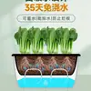 Maceta para plantar verduras en balcón, caja de plantación de verduras de autorriego, para personas perezosas, rectangular, para plantar cebolla, maceta de plástico para flores, interior, anillo de resina, envoltorio