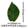 Hojas de Caladio Simuladas con Adhesivo Trasero, 10 cm, Accesorios para Colgar en la Pared DIY, Plantas Verdes Artificiales, Hojas de Potos, Hojas Verdes
