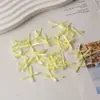 Direto da fábrica 0,3cm1 pontos poliéster com mini pequenos acessórios de laço cuecas meias acessórios laço
