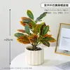 Decoração de planta em vaso de planta verde para simulação transfronteiriça sala de estar bar flor artificial flor de simulação decoração de flor de alto nível