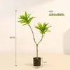Estilo Nórdico Nuevo Ins Plantas Verdes Lirio Bambú Piso Plantas Grandes Decoración Interior Adornos Plantas en Maceta