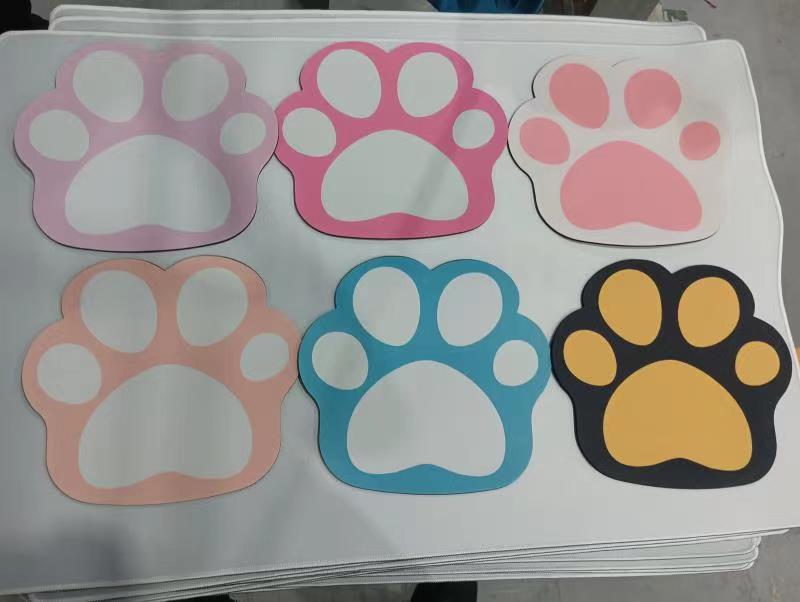 猫爪实拍图.jpg